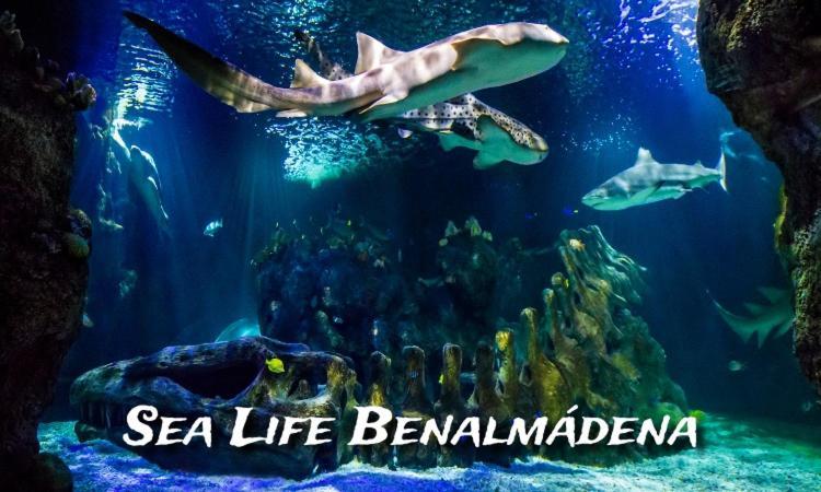 Benalbeach Loft 贝纳尔马德纳 外观 照片